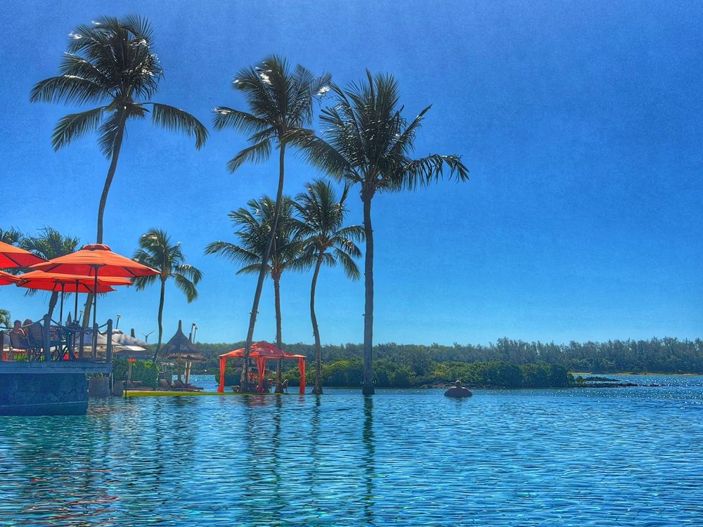 An infinity-edge pool merging into a lagoon, slender palms and red parasols to the left, a low green tree line on the far shore and one swimmer in the water.