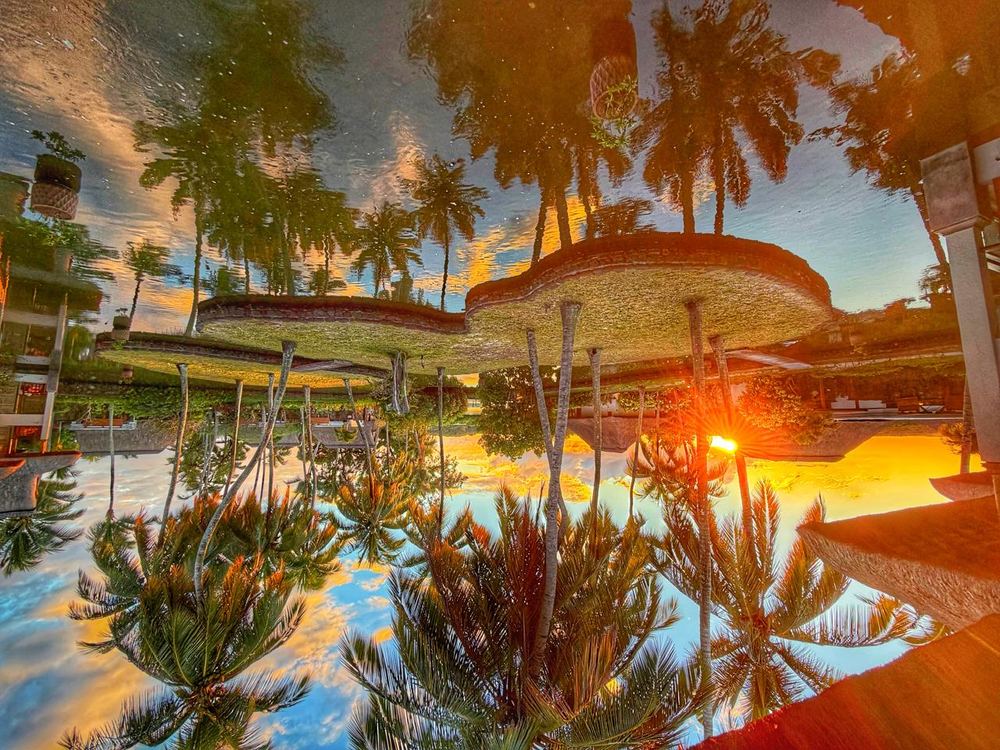 An inverted image of palm trees, thatched pavilions and a garden reflected in water, the low sun flaring orange through the trunks, the horizon flipped.