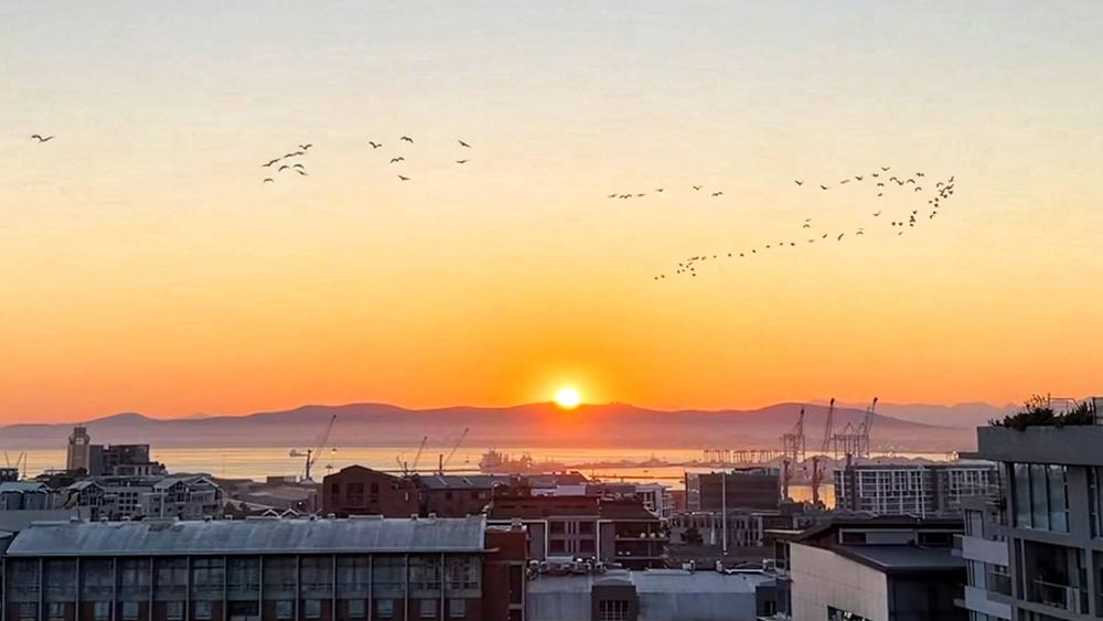 The sun just above a distant mountain ridge across Table Bay, a glowing orange path over the water, harbour cranes in silhouette and a long skein of birds crossing the sky.