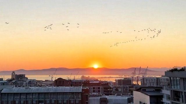 The sun rising over distant mountains across the bay, harbour cranes and rooftops in silhouette, flocks of birds strung across an orange gradient sky.